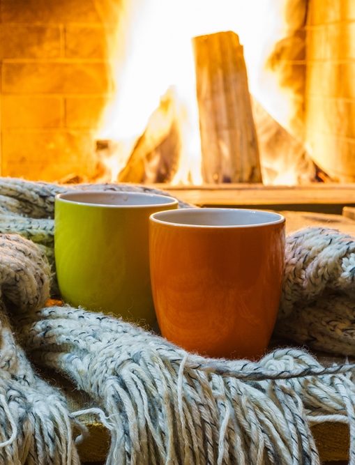 shutterstock_736970248a